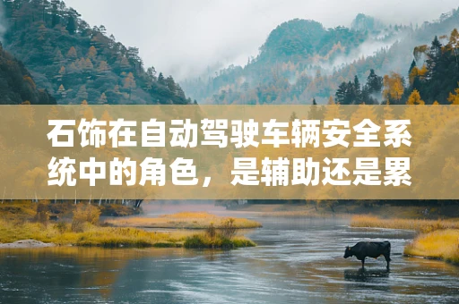 石饰在自动驾驶车辆安全系统中的角色，是辅助还是累赘？