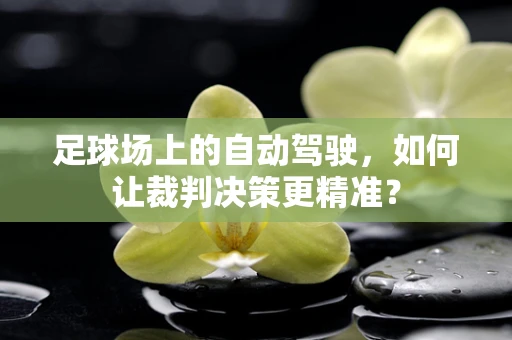 足球场上的自动驾驶，如何让裁判决策更精准？