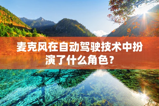 麦克风在自动驾驶技术中扮演了什么角色？