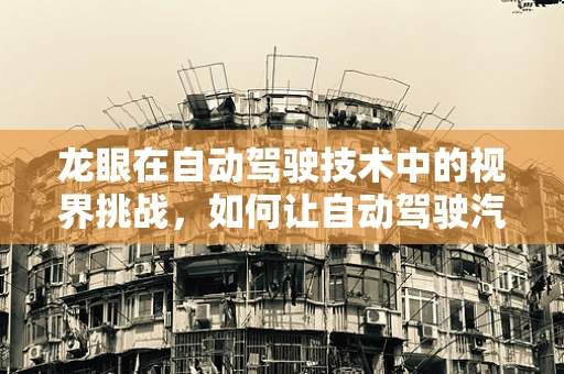 龙眼在自动驾驶技术中的视界挑战，如何让自动驾驶汽车看透复杂环境？