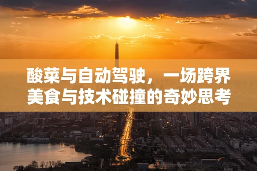 酸菜与自动驾驶，一场跨界美食与技术碰撞的奇妙思考
