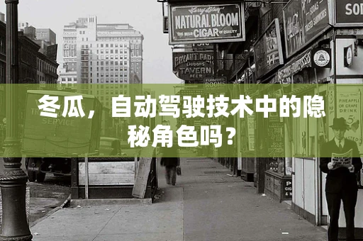 冬瓜，自动驾驶技术中的隐秘角色吗？