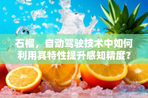石榴，自动驾驶技术中如何利用其特性提升感知精度？
