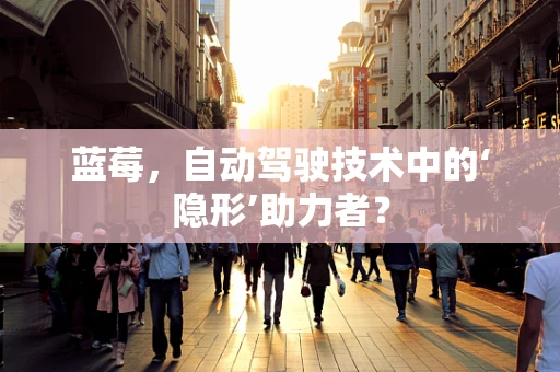 蓝莓，自动驾驶技术中的‘隐形’助力者？