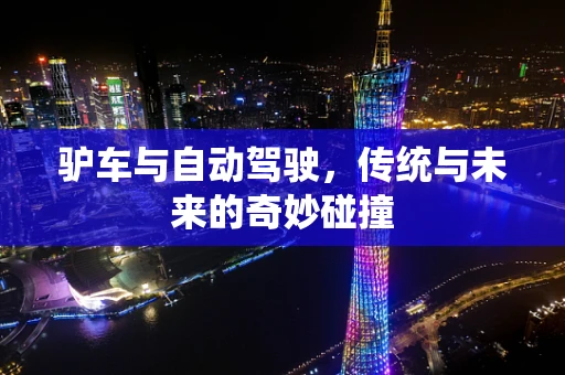驴车与自动驾驶，传统与未来的奇妙碰撞