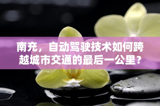 南充，自动驾驶技术如何跨越城市交通的最后一公里？