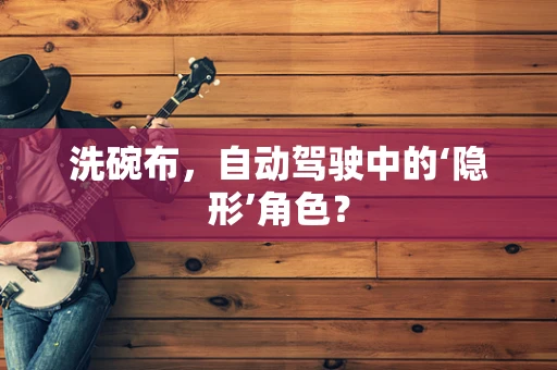 洗碗布，自动驾驶中的‘隐形’角色？