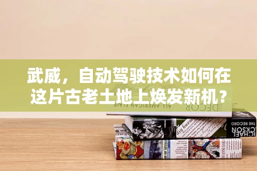 武威，自动驾驶技术如何在这片古老土地上焕发新机？