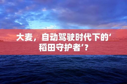 大麦，自动驾驶时代下的‘稻田守护者’？