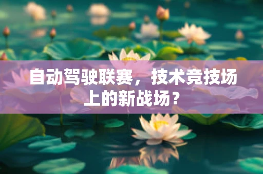 自动驾驶联赛，技术竞技场上的新战场？