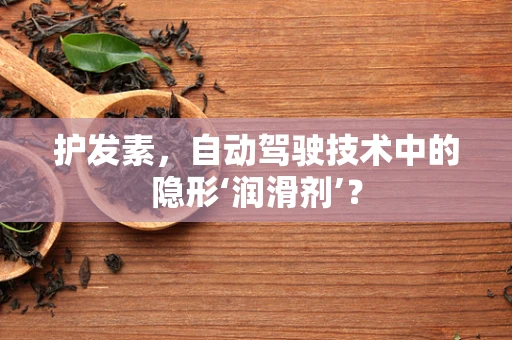 护发素，自动驾驶技术中的隐形‘润滑剂’？