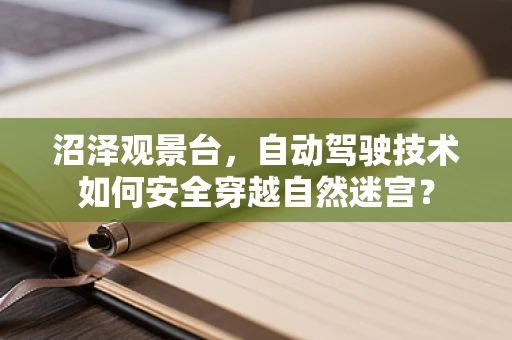 沼泽观景台，自动驾驶技术如何安全穿越自然迷宫？