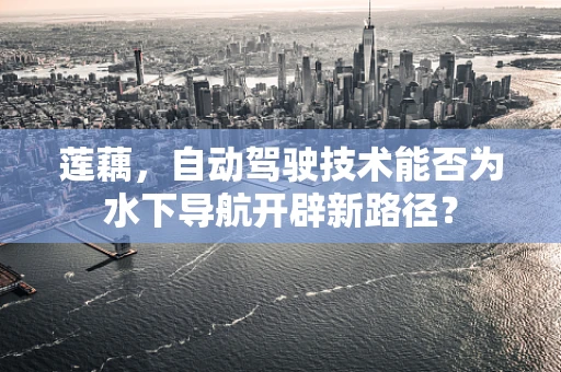 莲藕，自动驾驶技术能否为水下导航开辟新路径？