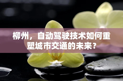 柳州，自动驾驶技术如何重塑城市交通的未来？