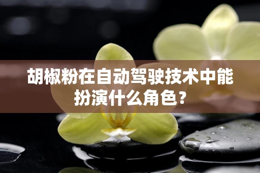 胡椒粉在自动驾驶技术中能扮演什么角色？
