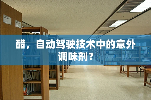 醋，自动驾驶技术中的意外调味剂？