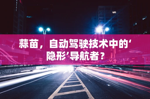 蒜苗，自动驾驶技术中的‘隐形’导航者？