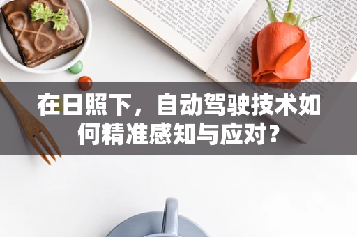 在日照下，自动驾驶技术如何精准感知与应对？
