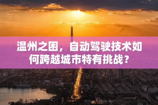 温州之困，自动驾驶技术如何跨越城市特有挑战？