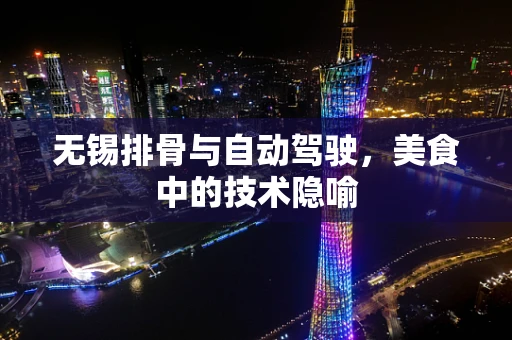 无锡排骨与自动驾驶，美食中的技术隐喻