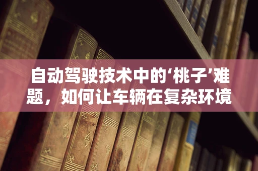 自动驾驶技术中的‘桃子’难题，如何让车辆在复杂环境中精准识别？