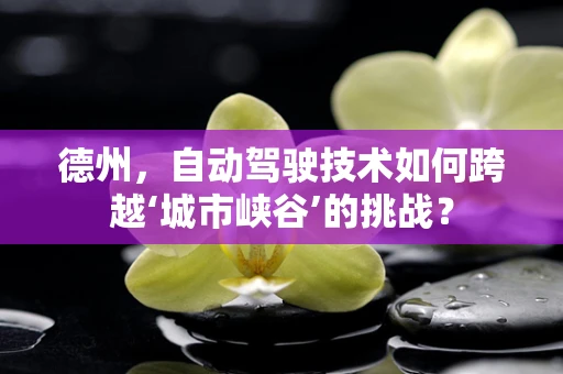 德州，自动驾驶技术如何跨越‘城市峡谷’的挑战？