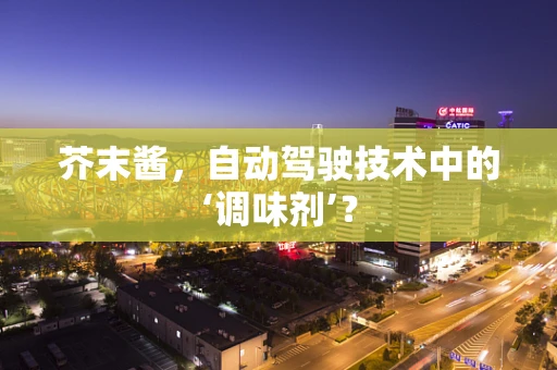 芥末酱，自动驾驶技术中的‘调味剂’？