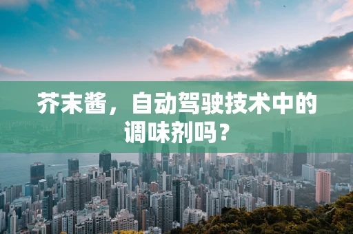 芥末酱，自动驾驶技术中的调味剂吗？