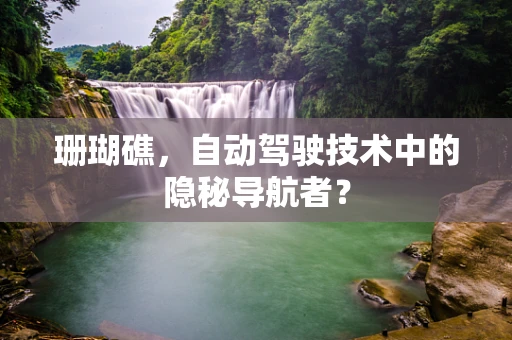 珊瑚礁，自动驾驶技术中的隐秘导航者？