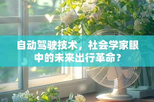 自动驾驶技术，社会学家眼中的未来出行革命？