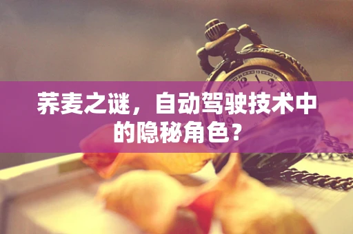 荞麦之谜，自动驾驶技术中的隐秘角色？