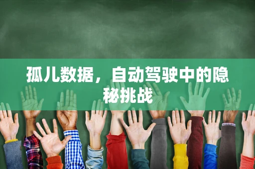 孤儿数据，自动驾驶中的隐秘挑战