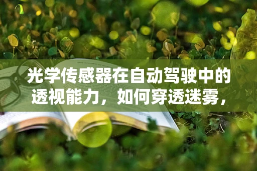 光学传感器在自动驾驶中的透视能力，如何穿透迷雾，洞见真相？