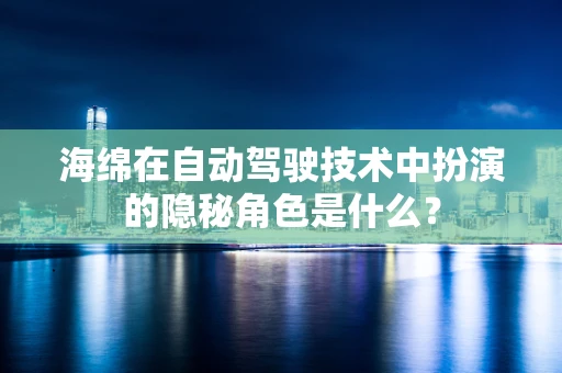 海绵在自动驾驶技术中扮演的隐秘角色是什么？
