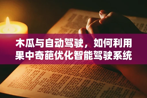 木瓜与自动驾驶，如何利用果中奇葩优化智能驾驶系统？
