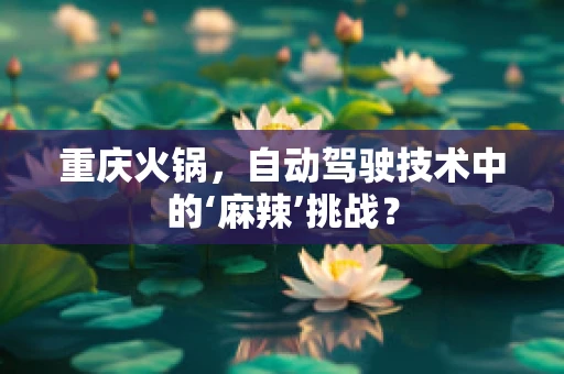 重庆火锅，自动驾驶技术中的‘麻辣’挑战？