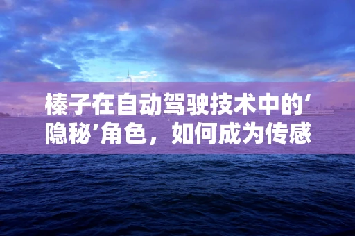 榛子在自动驾驶技术中的‘隐秘’角色，如何成为传感器优化的意外之选？