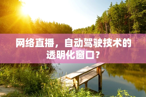 网络直播，自动驾驶技术的透明化窗口？