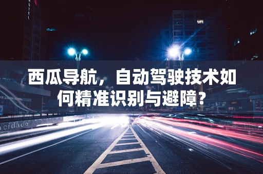 西瓜导航，自动驾驶技术如何精准识别与避障？