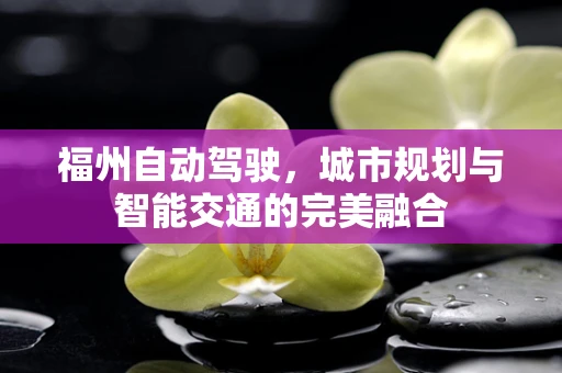 福州自动驾驶，城市规划与智能交通的完美融合