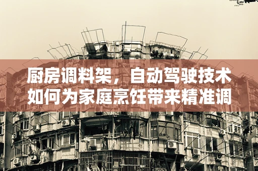 厨房调料架，自动驾驶技术如何为家庭烹饪带来精准调味新体验？