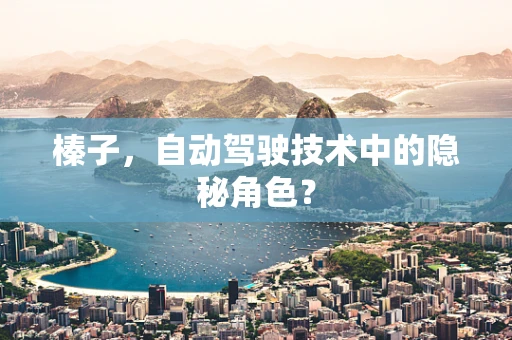 榛子，自动驾驶技术中的隐秘角色？