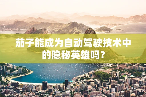 茄子能成为自动驾驶技术中的隐秘英雄吗？