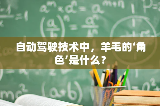 自动驾驶技术中，羊毛的‘角色’是什么？