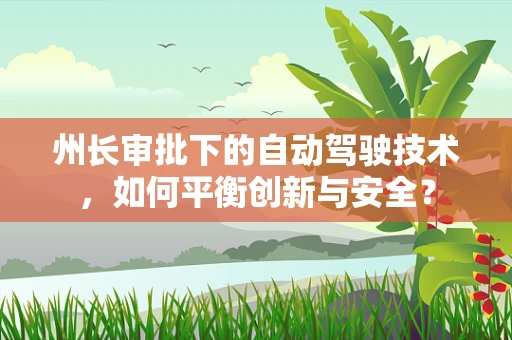 州长审批下的自动驾驶技术，如何平衡创新与安全？