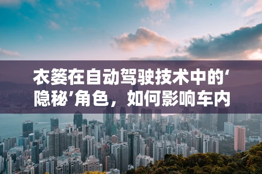 衣篓在自动驾驶技术中的‘隐秘’角色，如何影响车内空间布局与乘客体验？