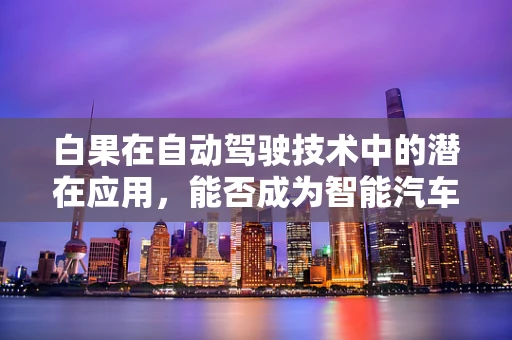 白果在自动驾驶技术中的潜在应用，能否成为智能汽车的‘健康守护者’？