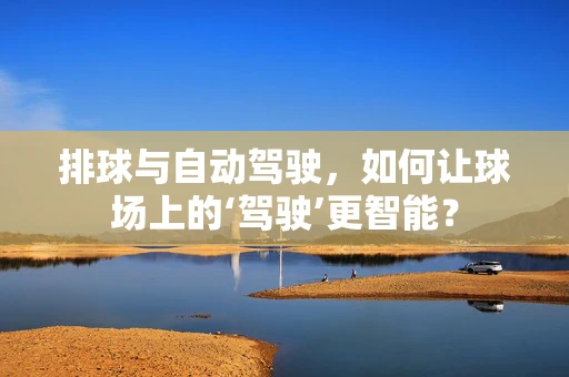 排球与自动驾驶，如何让球场上的‘驾驶’更智能？