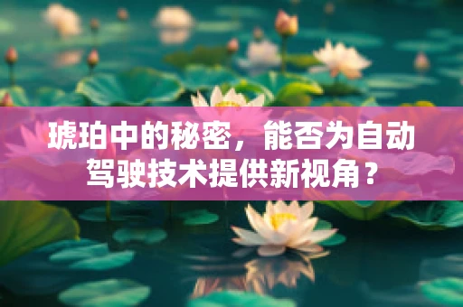 琥珀中的秘密，能否为自动驾驶技术提供新视角？