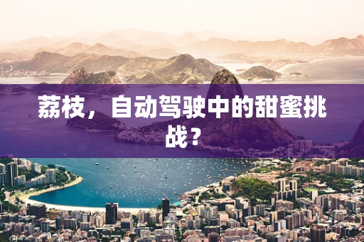 荔枝，自动驾驶中的甜蜜挑战？